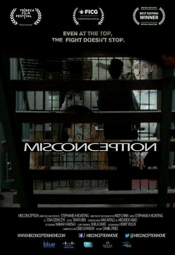 Misconception (2017) постер