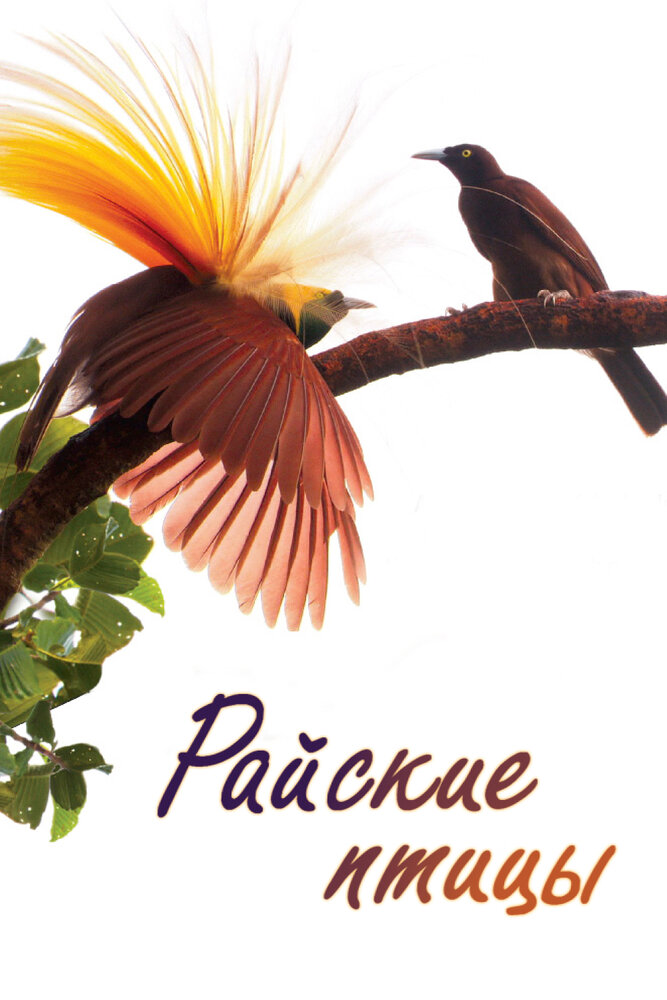 Райские птицы (2014) постер
