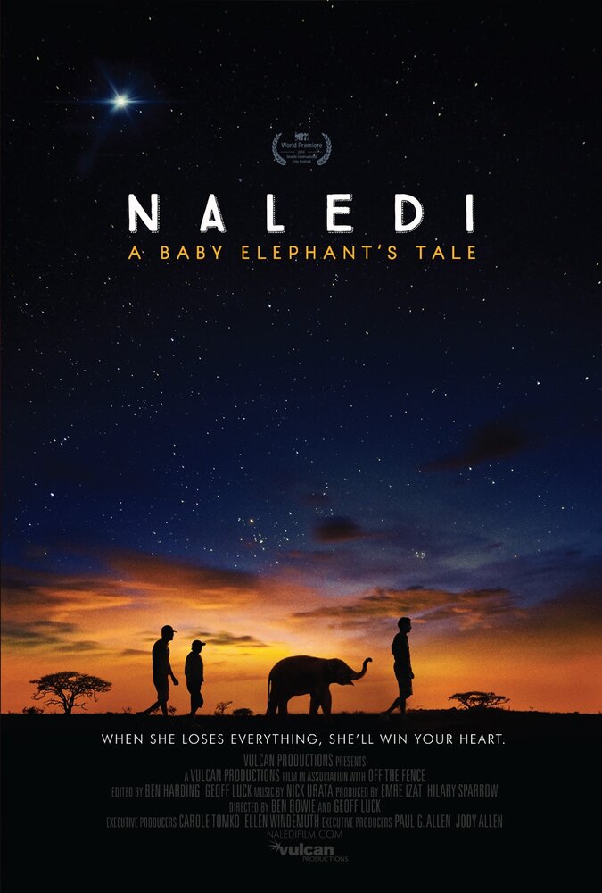 Naledi: A Baby Elephant's Tale (2016) постер