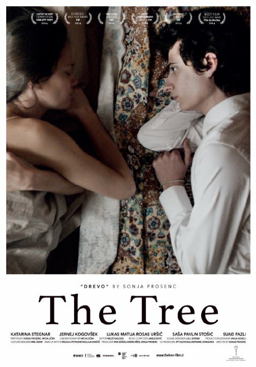 Дерево (2014) постер