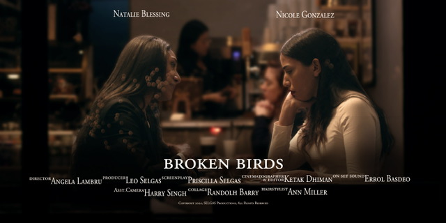 Broken Birds 2020 (2020) постер