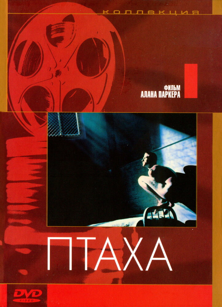 Птаха (1984) постер