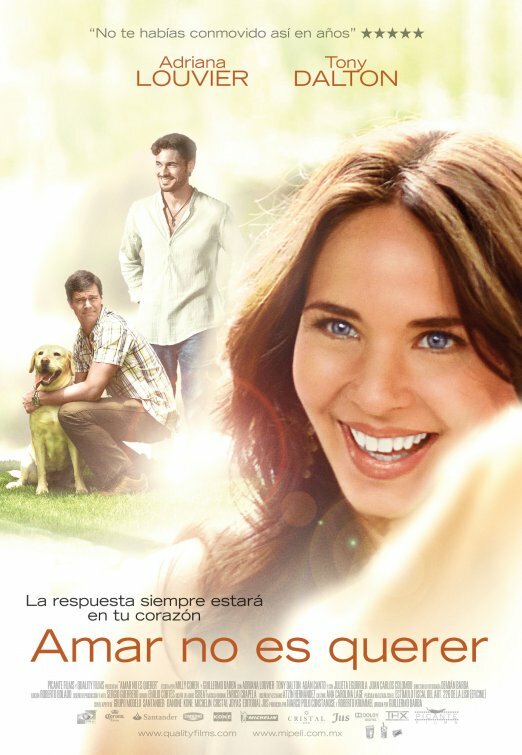 Любовь не любовь (2011) постер