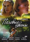 Полевые цветы (1999) постер