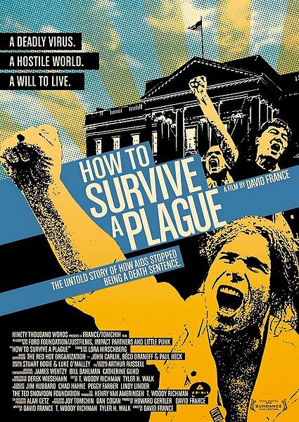 Как пережить чуму (2012) постер