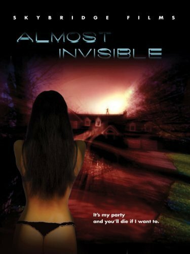 Almost Invisible (2010) постер